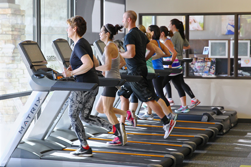 gym members on treadmill